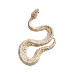 Naklejka premium A Graceful Rattlesnake Posing With Its Tail Raised and Alert Against Black