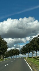 A quiet country road lined with trees on both sides under a deep blue sky with puffy white clouds....