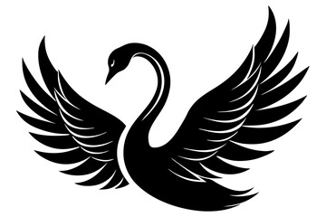 Obraz premium vector black swan