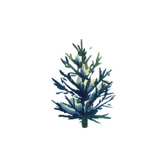 Fototapeta premium Tree evergreen fir with spreading branches on which lies white snow. Winter, forest watercolor illustration drawn by hand. Separate element isolated from background for Christmas, New Year and winter