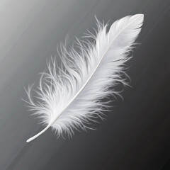 Obraz premium Delicate White Feather with Soft Fine Details and Elegant Texture.