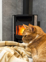A red-haired cat on a soft fleece plush blanket lies against the background of a fireplace with a burning fire. A pet in a home interior. Comfort in the house. Space heating and saving electricity