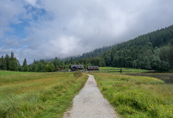 View of forest, lake and mountains in Austria