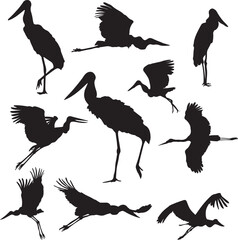 Set of Jabiru bird Silhouette of . Black and white vector illustration