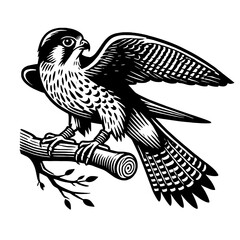Black and white illustration of a falcon perched on a branch.