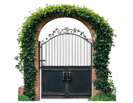 A gate with ivy growing out of it. Isolated on transparent background.