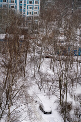A snow-covered residential area features bare trees and a car partially buried in white, showcasing...