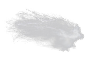 Fototapeta premium Abstract fluffy white texture on Transparent background.