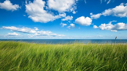 Fototapeta premium A serene coastal landscape featuring green grass and a blue sky with fluffy clouds.