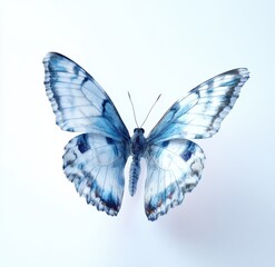 Fototapeta premium Artistic capture of a blue and white butterfly with its wings spread wide against a pure white backdrop. A slight blur in the lower left corner highlights the intricate design and texture