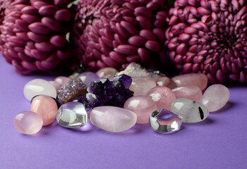 Real Amethyst and Rose Quartz Crystals on Burgundy Chrysanthemum Background. Healing Crystals....