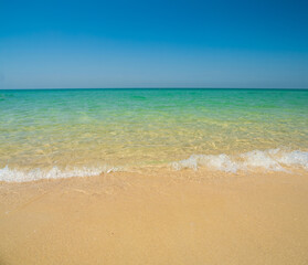 Obraz premium Generated image