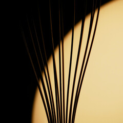 silhouette of wires of an egg whisk in front of warm light entering dark shadow
