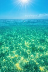 Fototapeta premium dynamic aerial view of vibrant coral reef beneath crystal-clear waters sunlight highlights colorful underwater landscape