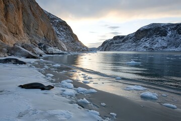 Obraz premium Scenic view of a seal resting on the shore near icy waters at twilight in a remote landscape
