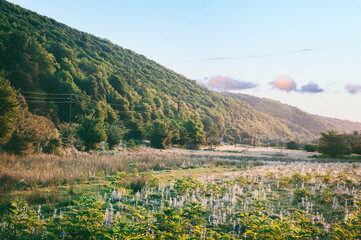 Early morning in a mountainous forested area