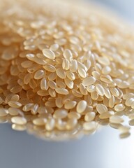 Fototapeta premium A close-up view of light-colored seeds, showcasing their texture and shape.