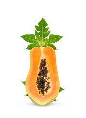 ripe papaya isolated on white background. full depth of field