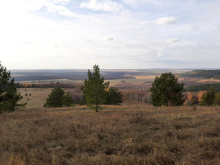 Obraz premium Forest Edge Overlooking Serene Fields