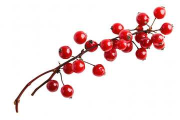 A cluster of vibrant red berries attached to a slender brown branch is isolated with a transparent background. The berries are round and glossy, showcasing their vivid color and natural texture, drawi