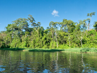 Amazon river landscape near the town of Tefè.