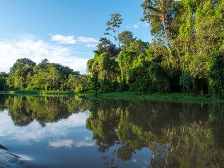 Amazon river landscape near the town of Tefè.