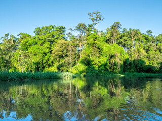 Amazon river landscape near the town of Tef&egrave;.