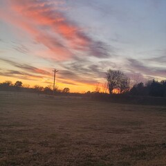 sunset over the field