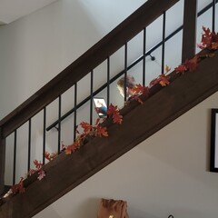 staircase in the house