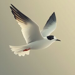 A graceful black-capped tern glides through a soft pastel sky, showcasing its elegant wings and striking features. The bird's feathers blend beautifully in muted tones.