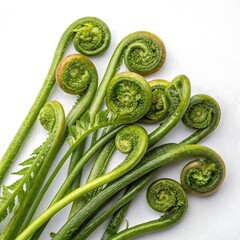 cucumbers on a white background