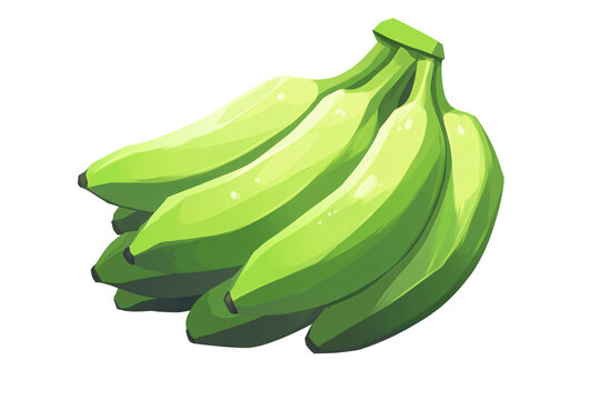 green bananas bunch on white background clip art preview