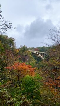 Overlooking the Ofukazawa Bridge. Japan's famous scenic spot "Ofukazawa Bridge" in Naruko Gorge.