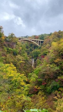 Overlooking the Ofukazawa Bridge. Japan's famous scenic spot "Ofukazawa Bridge" in Naruko Gorge.