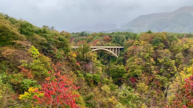 Overlooking the Ofukazawa Bridge. Japan's famous scenic spot "Ofukazawa Bridge" in Naruko Gorge.