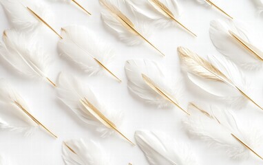 Cupid&acirc;???s arrows with golden tips and soft feathers scattered on a bright white background