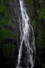 Obraz premium View of Madeira