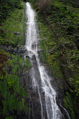 Fototapeta premium View of Madeira