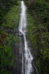 Obraz premium View of Madeira