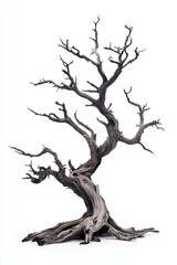Obraz premium A sinister-looking dead juniper tree, its branches contorted into unnatural shapes, ideal for creating a haunted forest scene on a stark white background 