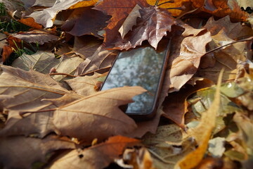 Fototapeta premium Mobile phone lying on the ground in a maple leaf
