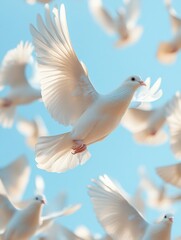 Fototapeta premium Graceful flight: a flock of white doves soaring in clear blue skies