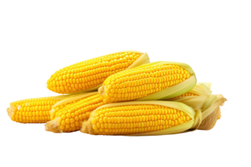 A vibrant arrangement of yellow baby corns lying on a weathered wooden table, their smooth surfaces reflecting light, with a few corns cut in half to reveal their juicy interiors.