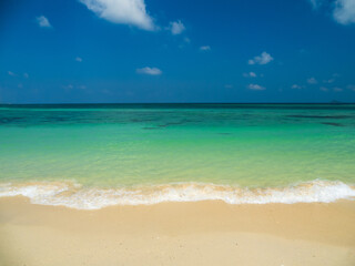 Obraz premium Generated image