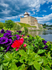 Fototapeta premium castle on the coast of the river