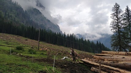 Bivacco dal Bianco on Dolomites in Italy