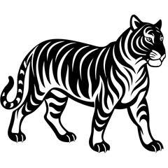 Fototapeta premium Silhouette of Tiger Walking