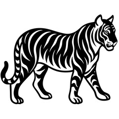 Fototapeta premium Silhouette of Tiger Walking