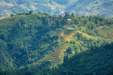 The scenery of Sa Pa - a famous beautiful tourist city in Northern Vietnam - is like the scenery of the Alps in Europe