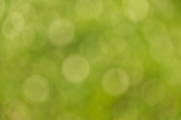 緑のぼけ感が美しい抽象背景